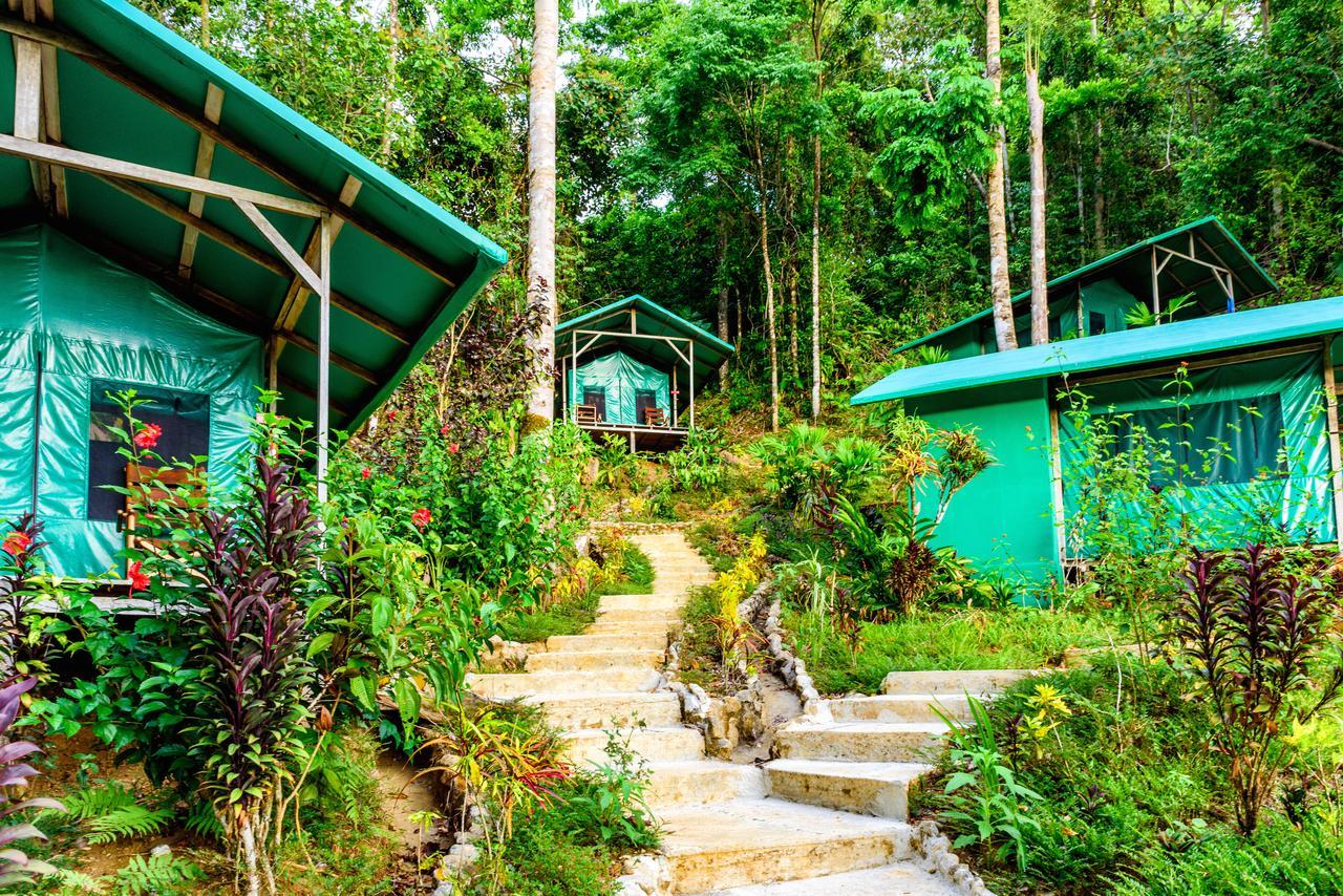 Luna Lodge Carate Pokój zdjęcie